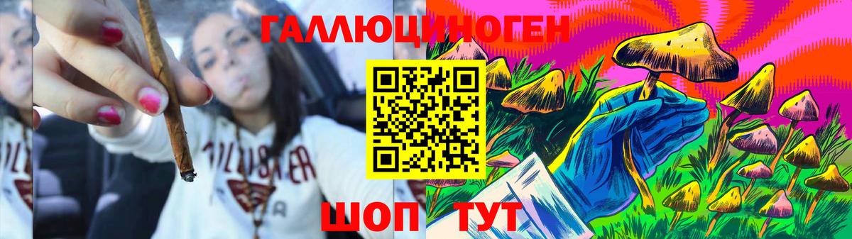 Долгопрудный  купить наркотик  Галлюциногенные грибы MAGIC MUSHROOMS  Вход с VPN  Галлюциногенные грибы ЛСД 